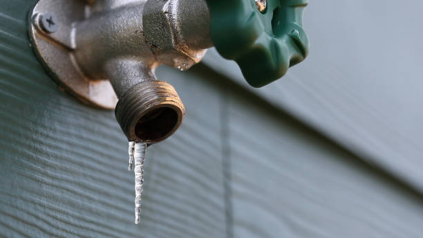 Best Plumbing Inspection Services  in Lorenzo, TX